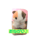 しゅんいち スタンプ Vol.2（個別スタンプ：7）