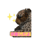 しゅんいち スタンプ Vol.2（個別スタンプ：10）
