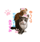 mariの愉快な3兄弟①きなこ ごま しずく（個別スタンプ：4）