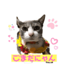 mariの愉快な3兄弟①きなこ ごま しずく（個別スタンプ：8）
