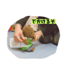 はむじろーはなんなのか？（個別スタンプ：5）