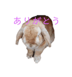 ここじ（個別スタンプ：5）