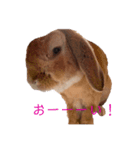 ここじ（個別スタンプ：8）