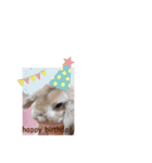 ここじ（個別スタンプ：11）