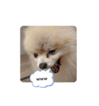 Leon's daily stamp #2（個別スタンプ：2）