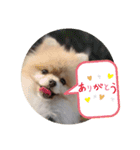 Leon's daily stamp #2（個別スタンプ：6）
