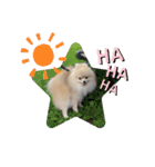 Leon's daily stamp #2（個別スタンプ：7）