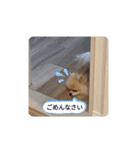 Leon's daily stamp #2（個別スタンプ：9）