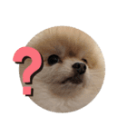 Leon's daily stamp #2（個別スタンプ：10）