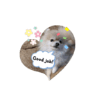 Leon's daily stamp #2（個別スタンプ：11）