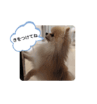 Leon's daily stamp #2（個別スタンプ：14）