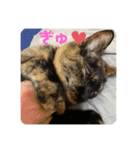 もこたいぽん！（個別スタンプ：2）