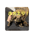 もこたいぽん！（個別スタンプ：19）