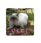 もこたいぽん！（個別スタンプ：23）