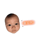 Hinatanすたんぷ（個別スタンプ：17）