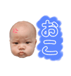 Hinatanすたんぷ（個別スタンプ：24）
