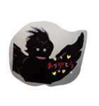 motomaru作2（個別スタンプ：11）