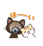 インコ8（個別スタンプ：6）