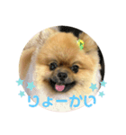 りくスタンプ1☆（個別スタンプ：2）
