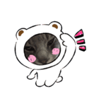 琉輝オリジナルスタンプ（個別スタンプ：2）