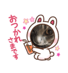 琉輝オリジナルスタンプ（個別スタンプ：6）