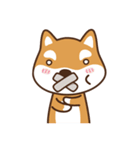 柴犬マンゴーガール4(しばいぬ)（個別スタンプ：4）