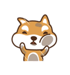 柴犬マンゴーガール4(しばいぬ)（個別スタンプ：6）