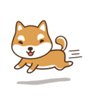 柴犬マンゴーガール4(しばいぬ)（個別スタンプ：19）