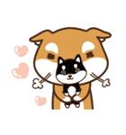 柴犬マンゴーガール4(しばいぬ)（個別スタンプ：20）