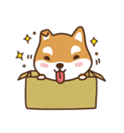 柴犬マンゴーガール4(しばいぬ)（個別スタンプ：34）
