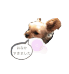 ぼす凰世徠世（個別スタンプ：7）