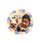 ぼす凰世徠世（個別スタンプ：8）