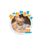 ぼす凰世徠世（個別スタンプ：35）