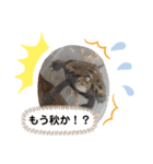 俺スタンプ   7(秋編)（個別スタンプ：2）