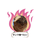俺スタンプ   7(秋編)（個別スタンプ：4）