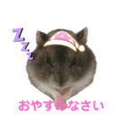 にくまる専用スタンプ★（個別スタンプ：5）