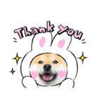 柴犬 こさめ2（個別スタンプ：11）
