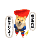 柴犬 こさめ2（個別スタンプ：33）