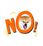柴犬 こさめ2（個別スタンプ：35）