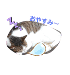 みるくここあ！のスタンプ5（個別スタンプ：6）
