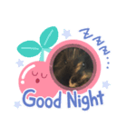 琉愛＆琉李オリジナルスタンプ（個別スタンプ：3）