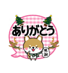 冬に使える♡豆柴【柴犬】（個別スタンプ：16）