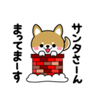 冬に使える♡豆柴【柴犬】（個別スタンプ：31）