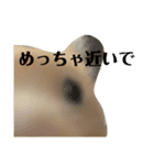 キンクマのゆばちゃん（個別スタンプ：3）