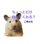 キンクマのゆばちゃん（個別スタンプ：4）