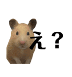 キンクマのゆばちゃん（個別スタンプ：5）