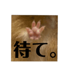 キンクマのゆばちゃん（個別スタンプ：12）