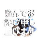 ノッポさん_オリジナルスタンプvol.001（個別スタンプ：8）
