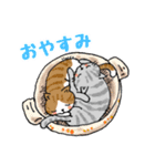 猫飼いさん2（個別スタンプ：3）