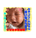 琥珀familyでらっくちゅ（個別スタンプ：31）